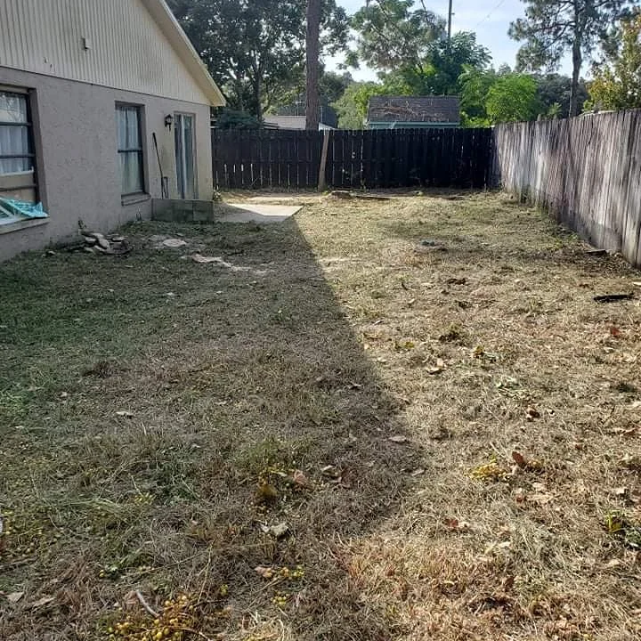 yard cleanup pasco