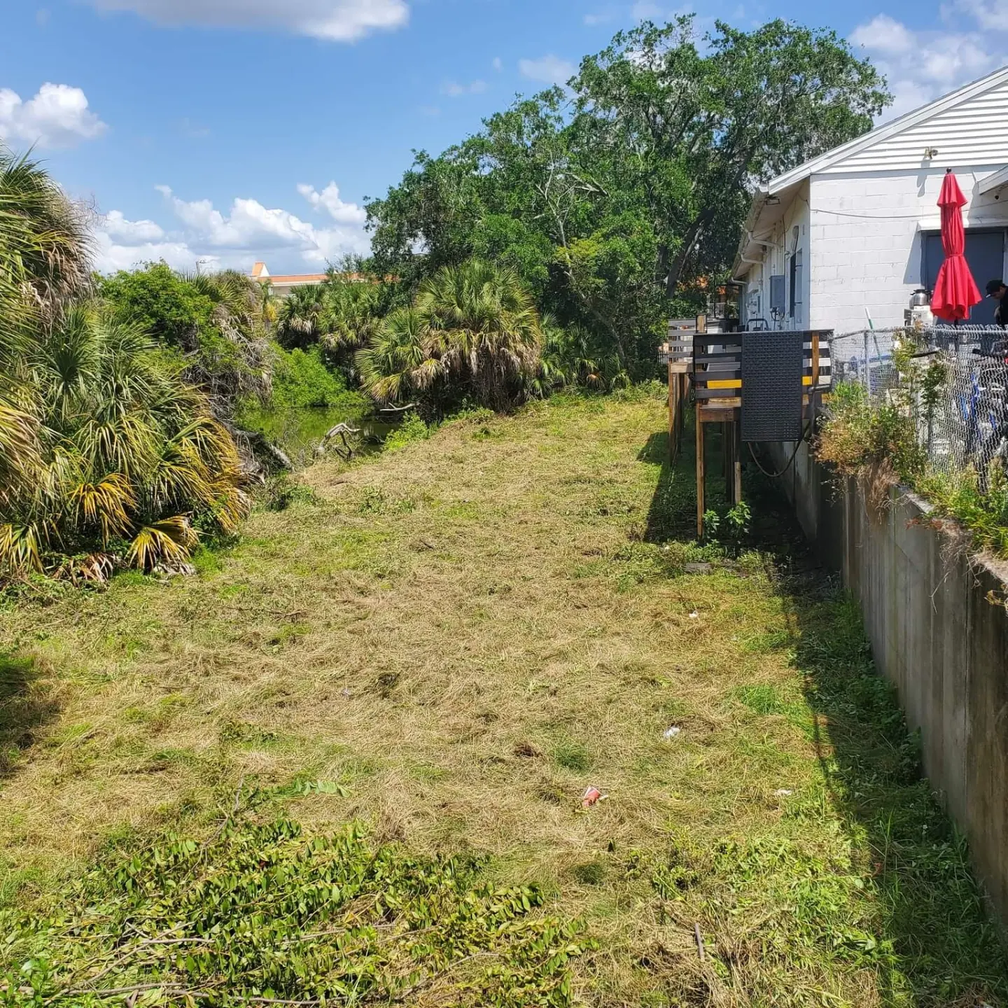 yard cleanup pinellas