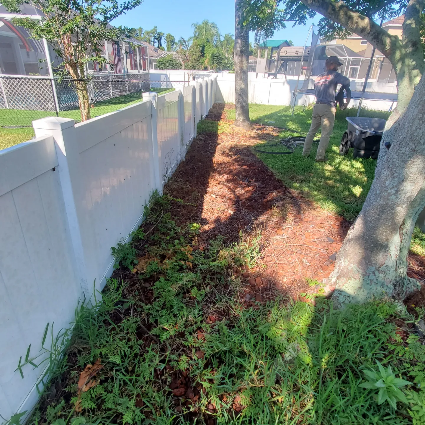 st augustine sod installed